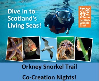 Dive into Scotland's living seas!
